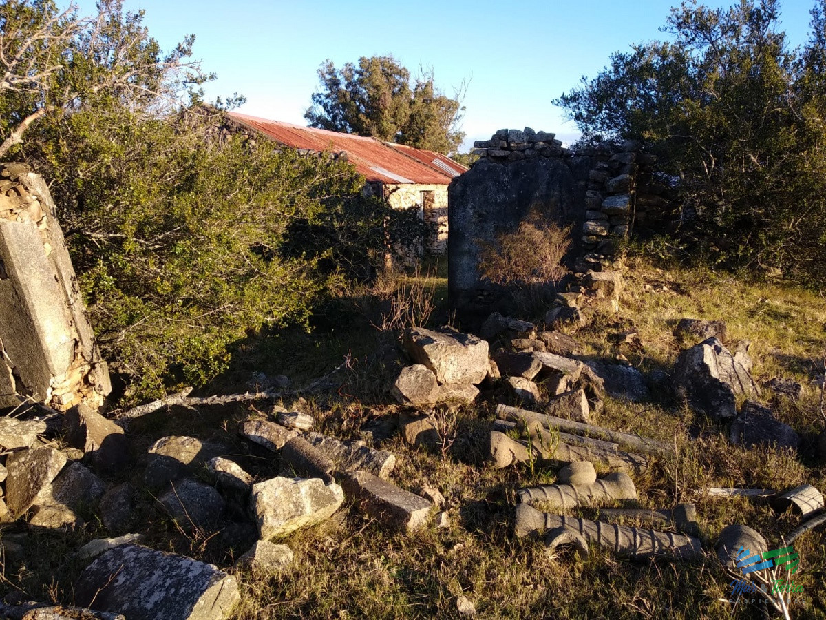 Campo Ref.3678 - 82 Has Cerca de Pueblo Edén y R.12