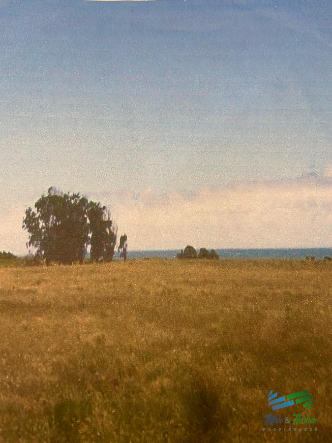 Campo Ref.3906 - 145 Has al Sur de Ruta 10 con vista al Mar, Precio Reducido !