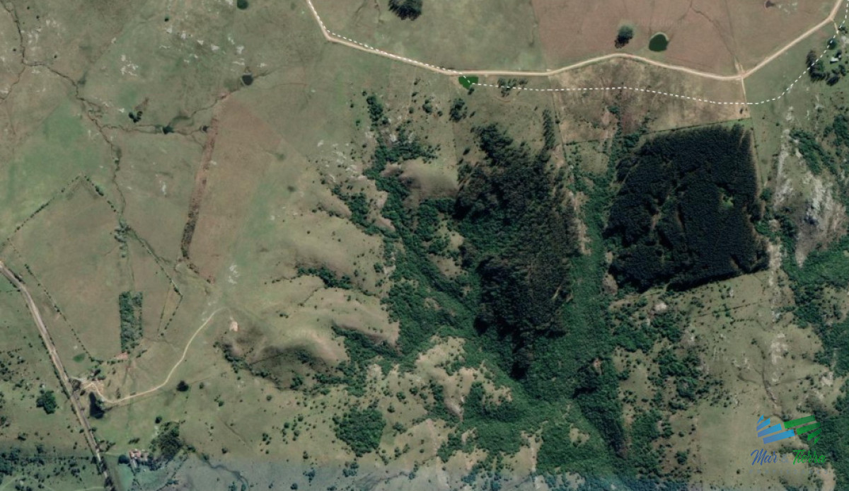 Campo Ref.3869 - Vendo campo 30 ha a 4 km de ruta 12. Maldonado