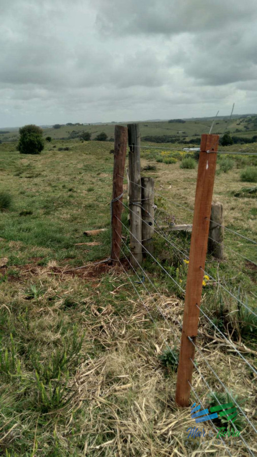 Campo Ref.4502 - Linda fracción de campo ganadero con aptitud forestal