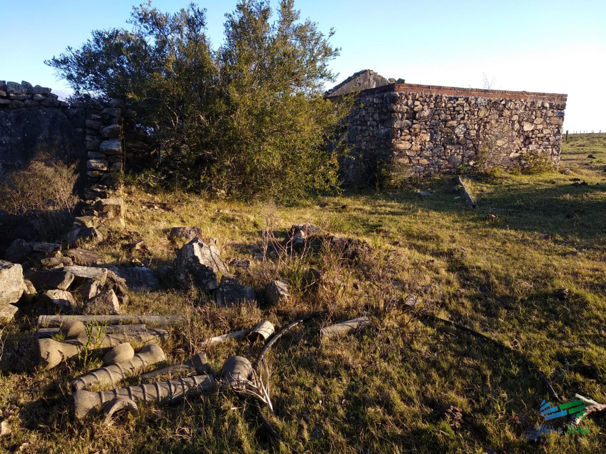 Campo Ref.3678 - 82 Has Cerca de Pueblo Edén y R.12
