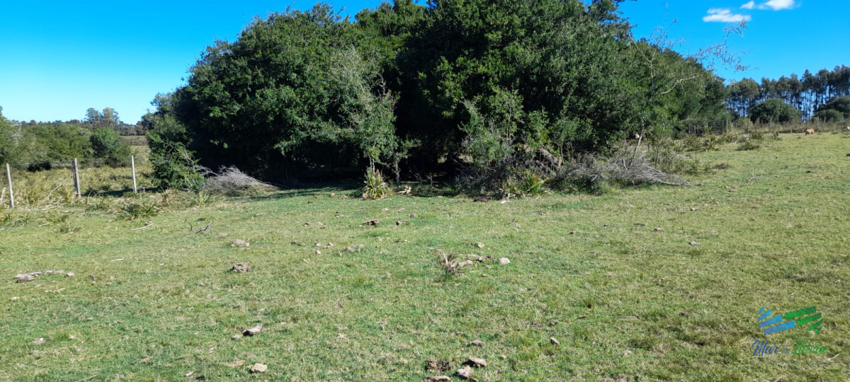 Campo Ref.4416 - Buen campo agrícola, muy bien ubicado. 83 Has