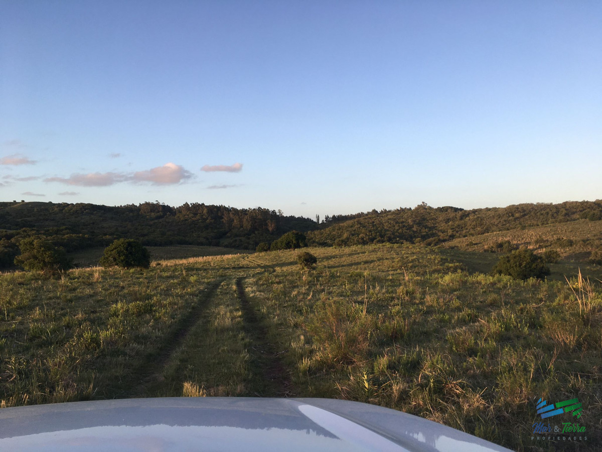 Campo Ref.4409 - Pintoresco campo Ganadero muy bien ubicado.