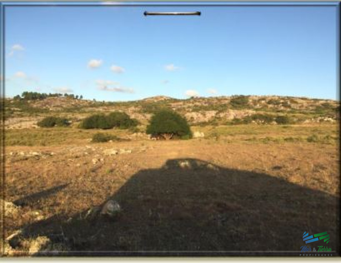 Campo Ref.3984 - 370 Has ganaderas, muy cerca de Punta, arroyo y monte nativo. Excelente ubicación !