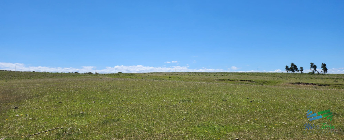 Campo Ref.4158 - 125 Has sobre R.9 muy bien campo Agricola-Ganadero