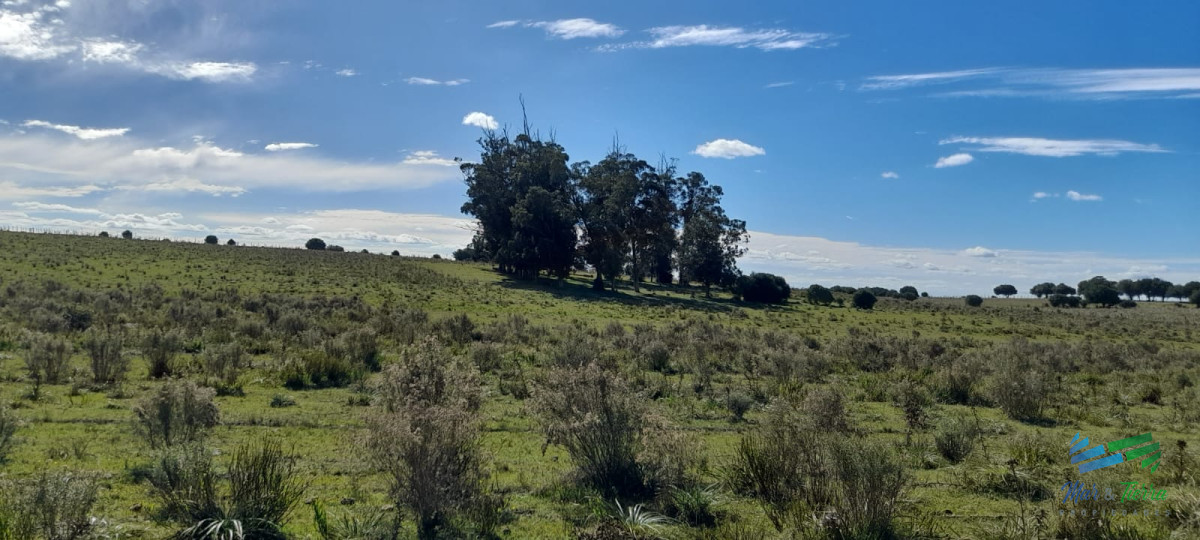 Campo Ref.4381 - Establecimiento Completo a 30 minutos de Punta, no se lo pierda !