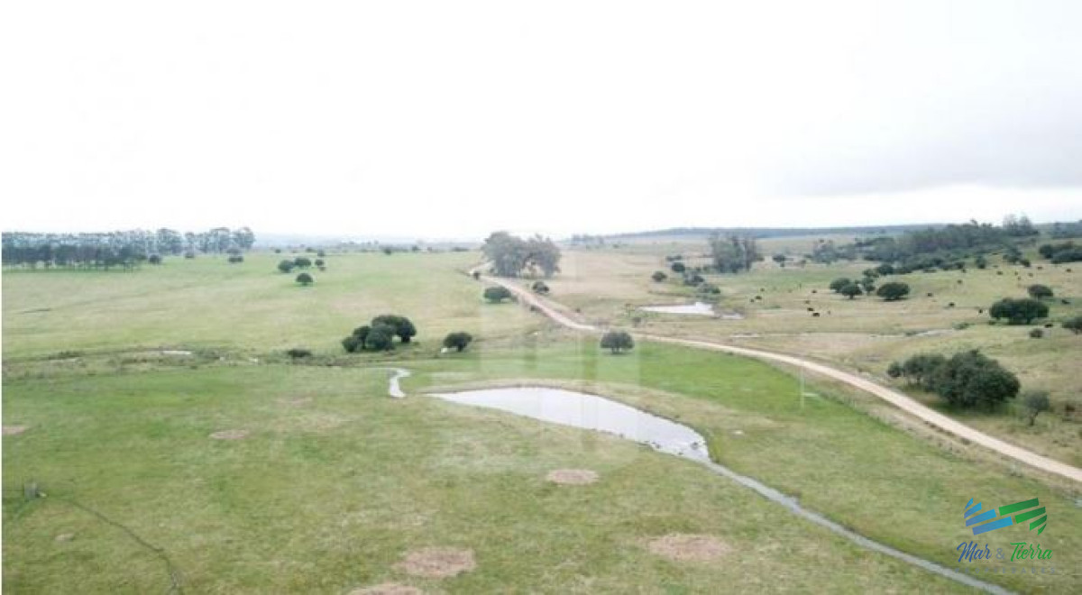 Campo Ref.4122 - 108 Has en venta a portera cerrada, Única por ubicación y mejoras, establecimiento completo !