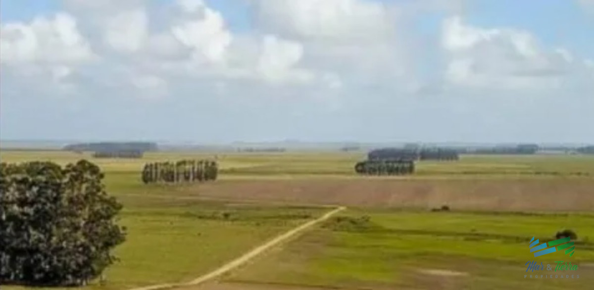 Excelente Estancia Completa Agrícola Ganadera, sobre R.9 y Costa Laguna Castillos - GoPunta - Portal Inmobiliario de Punta del Este - Maldonado