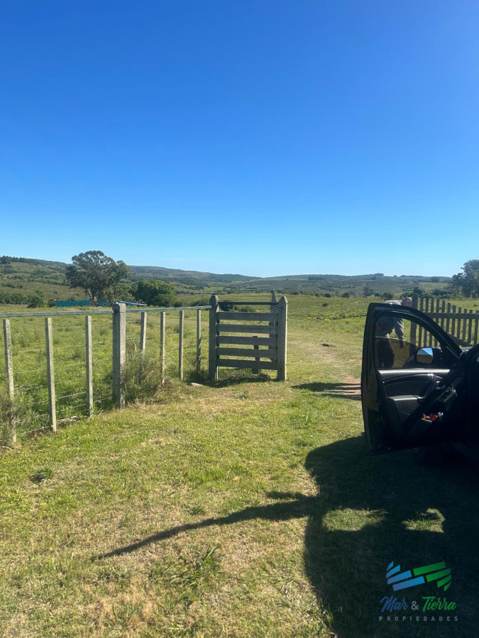 Campo Ref.5081 - 577 Has Campo Ganadero - Forestal