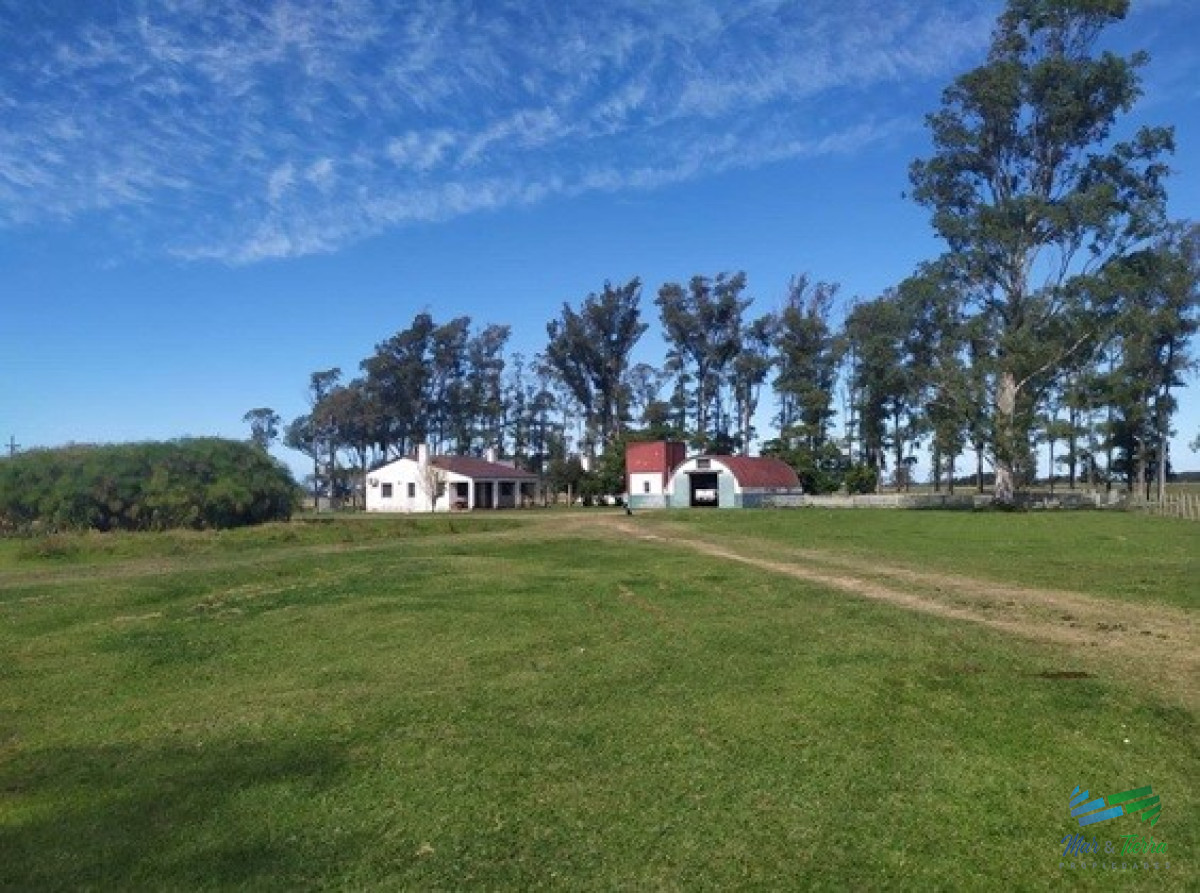 Campo Ref.4401 - Campo Arrocero-Ganadero 1.636 Has sobre Ruta