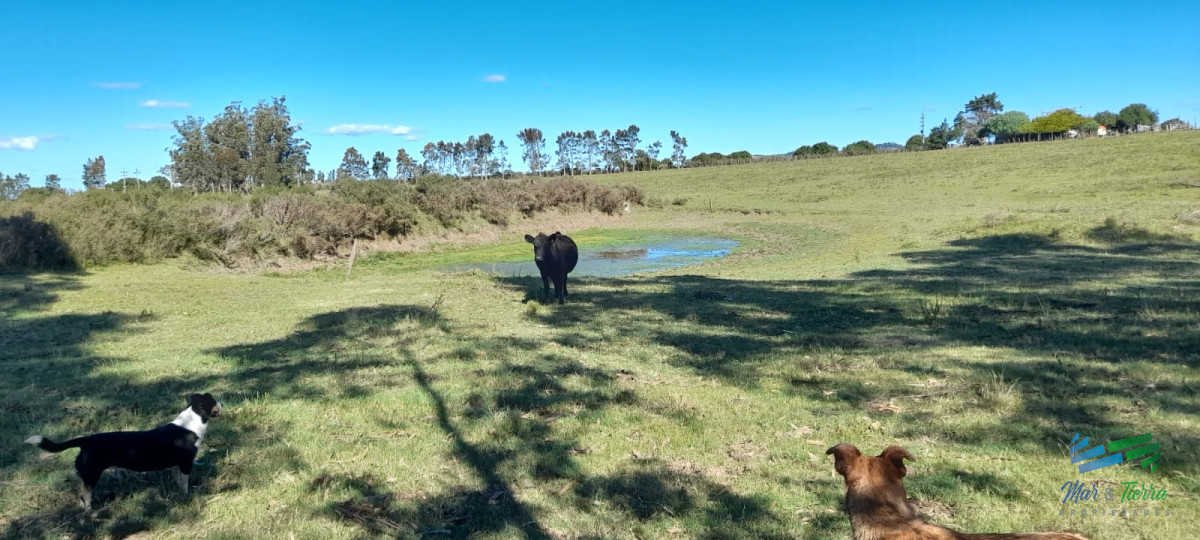 Campo Ref.4416 - Buen campo agrícola, muy bien ubicado. 83 Has
