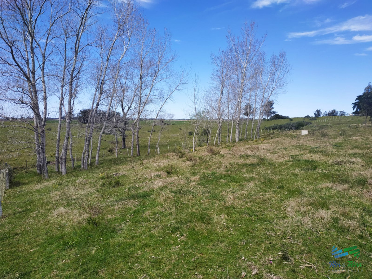 Campo Ref.4237 - Muy linda fracción de 138 Has en Las Garzas