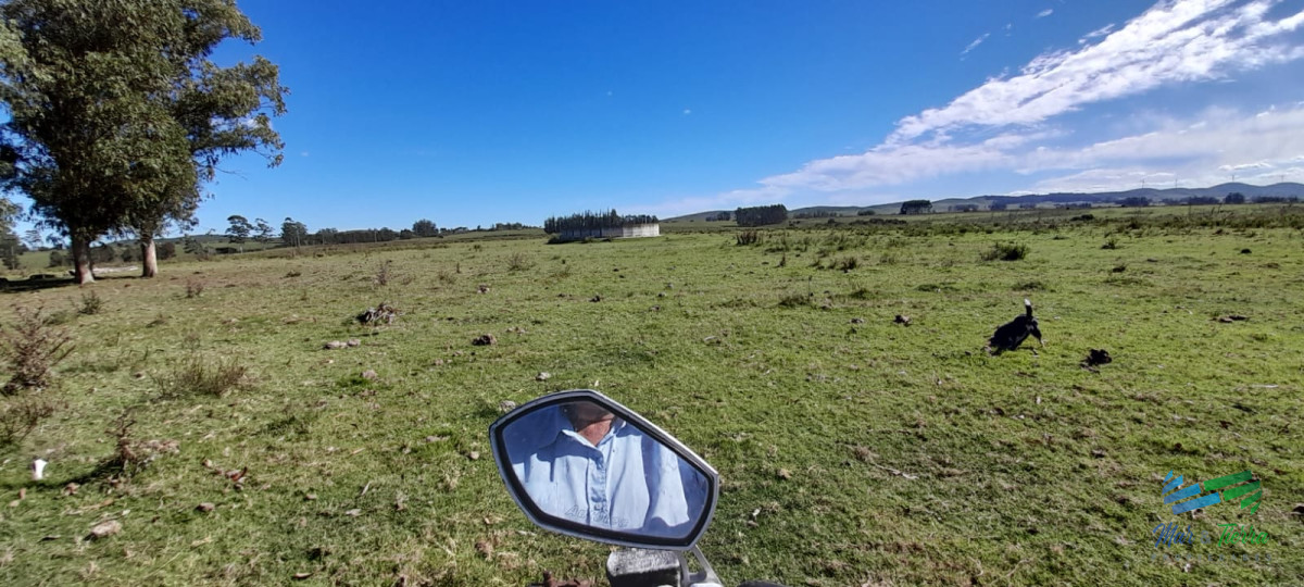 Campo Ref.4381 - Establecimiento Completo a 30 minutos de Punta, no se lo pierda !
