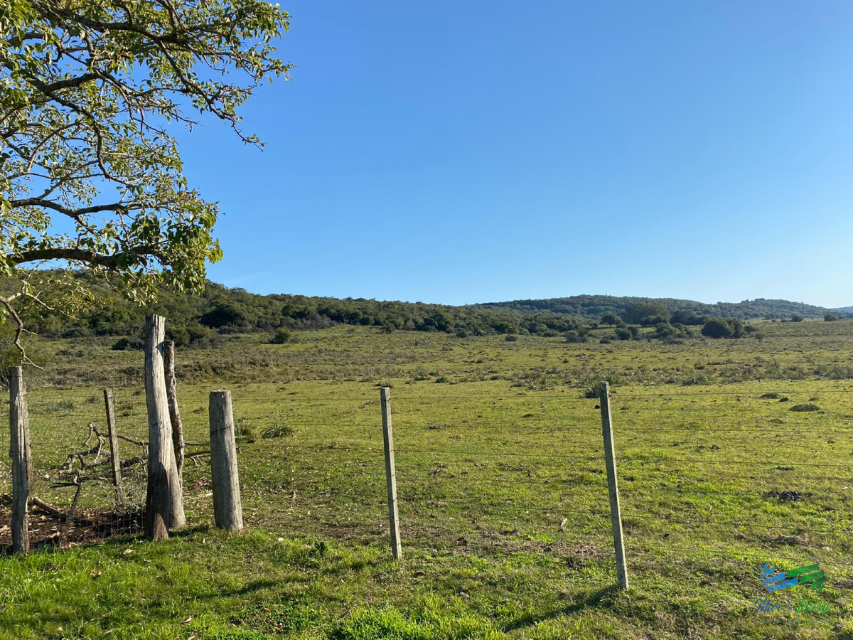 Campo Ref.4335 - Buen campo mixto a 1 hora de Punta, buen acceso e instalaciones.