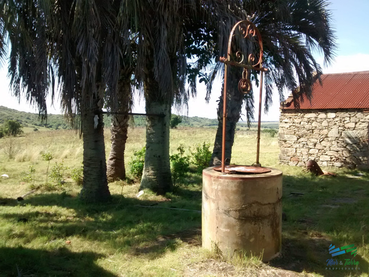 Campo Ref.4409 - Pintoresco campo Ganadero muy bien ubicado.