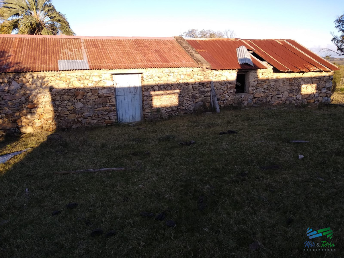 Campo Ref.3678 - 82 Has Cerca de Pueblo Edén y R.12