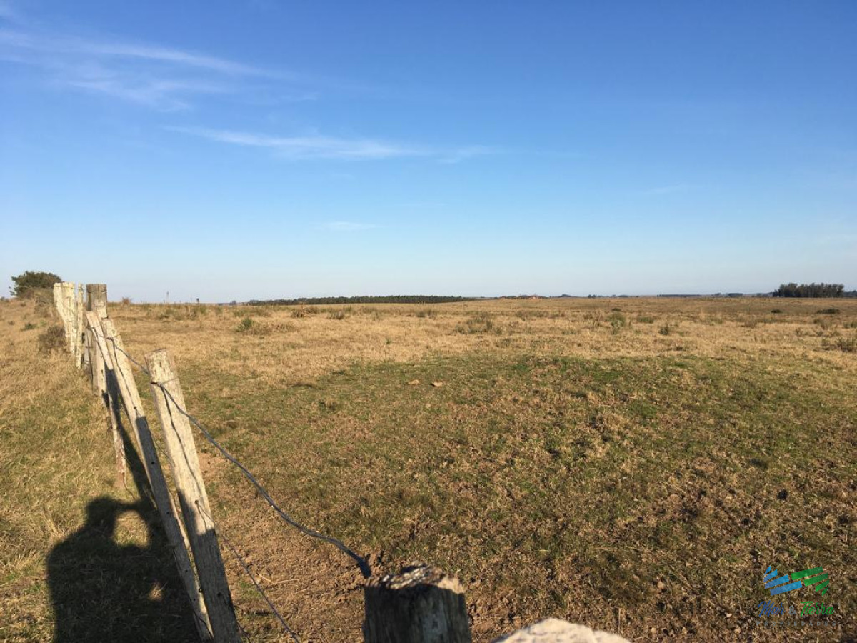 Campo Ref.4060 - 184 Has muy buena oportunidad para fraccionar en chacras...