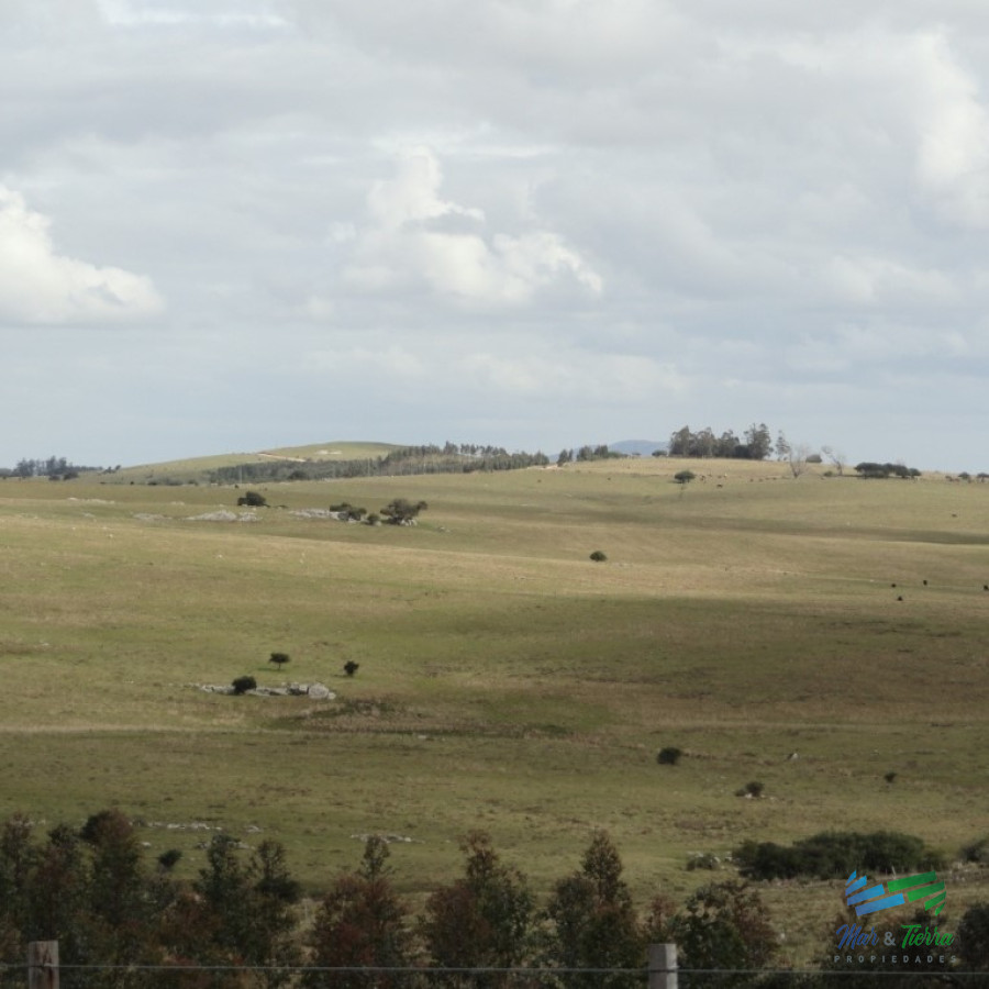 Campo Ref.2091 - Campo sobre R.12 y a menos de 1 hora de Punta. Suelos 2.12, buenas vistas y gran potencial turístico !