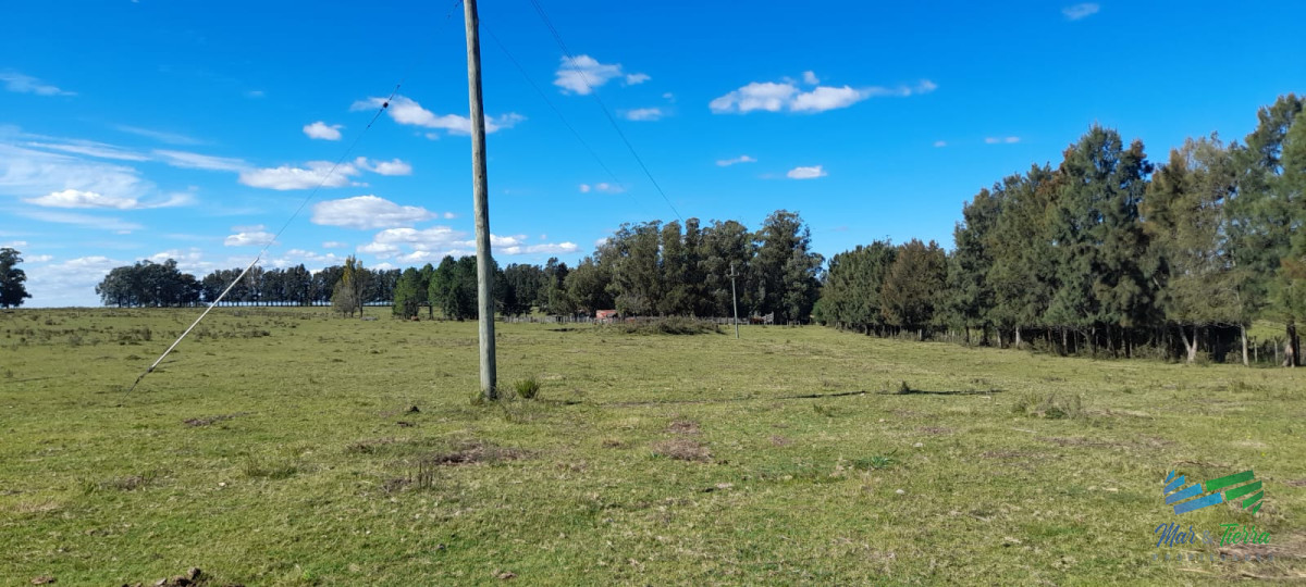 Campo Ref.4381 - Establecimiento Completo a 30 minutos de Punta, no se lo pierda !
