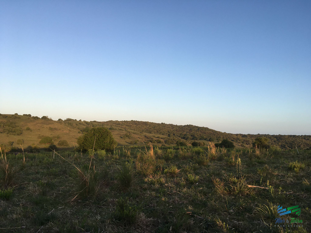 Campo Ref.4113 - 51 Has Campo Secreto