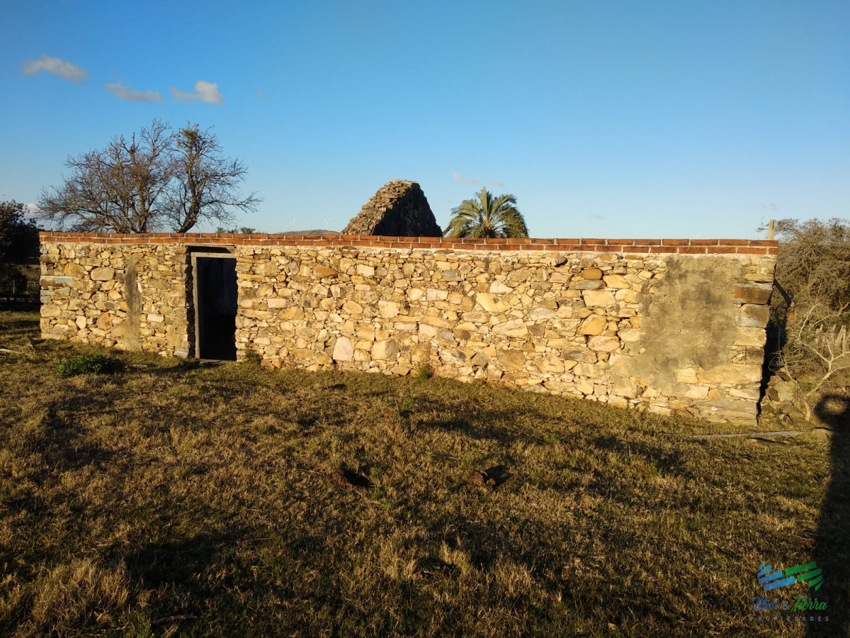 Campo Ref.3678 - 82 Has Cerca de Pueblo Edén y R.12