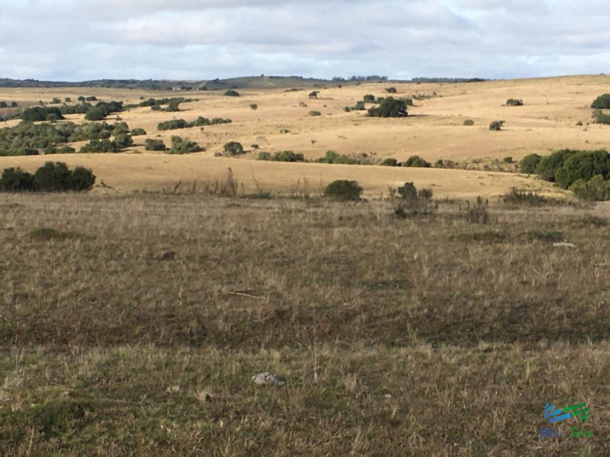 Campo Ref.4057 - 47 Has a 20 minutos Jose Ignacio y 3 kms de R.9