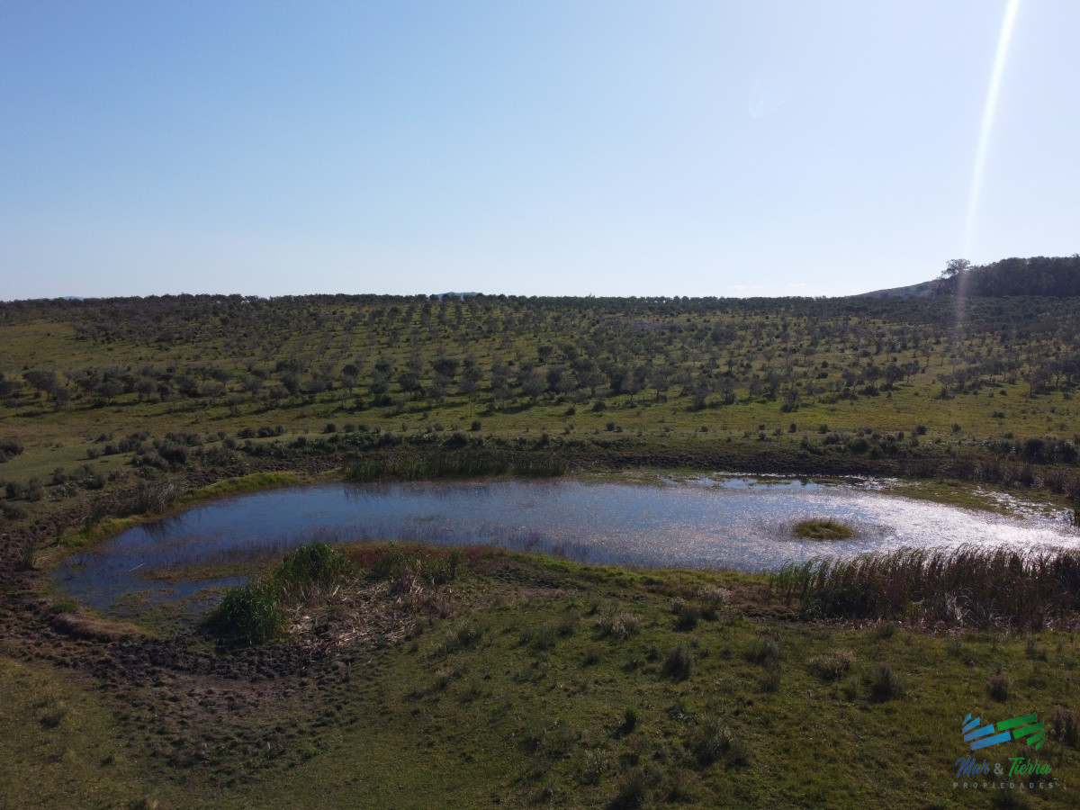 Campo Ref.2088 - Chacra Productiva a media hora de Punta USD 330.000 Oportunidad Olivos !