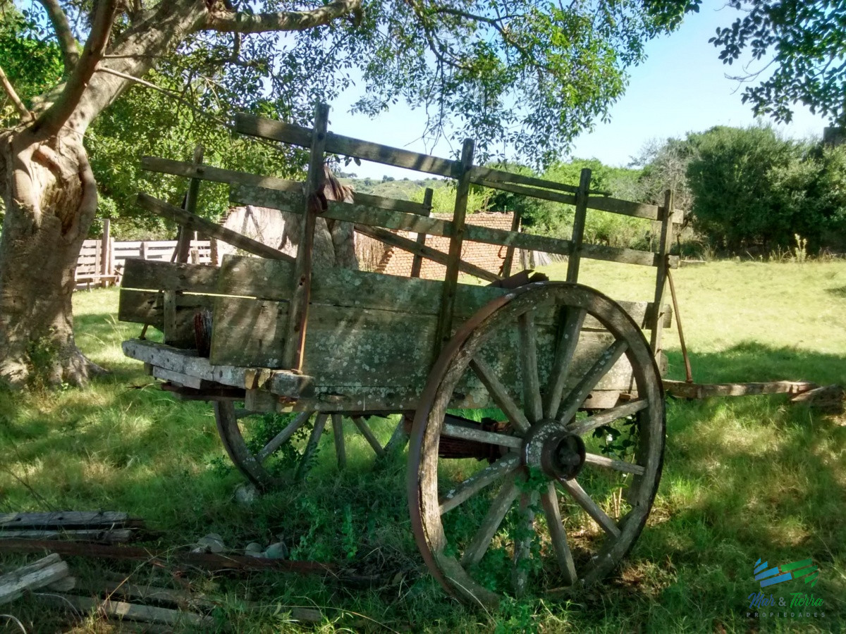 Campo Ref.4113 - 51 Has Campo Secreto
