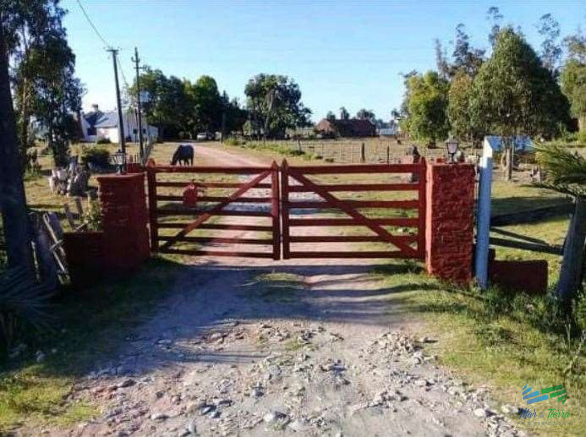 Campo Ref.4503 - Buen campo ganadero con muy buen acceso sobre ruta