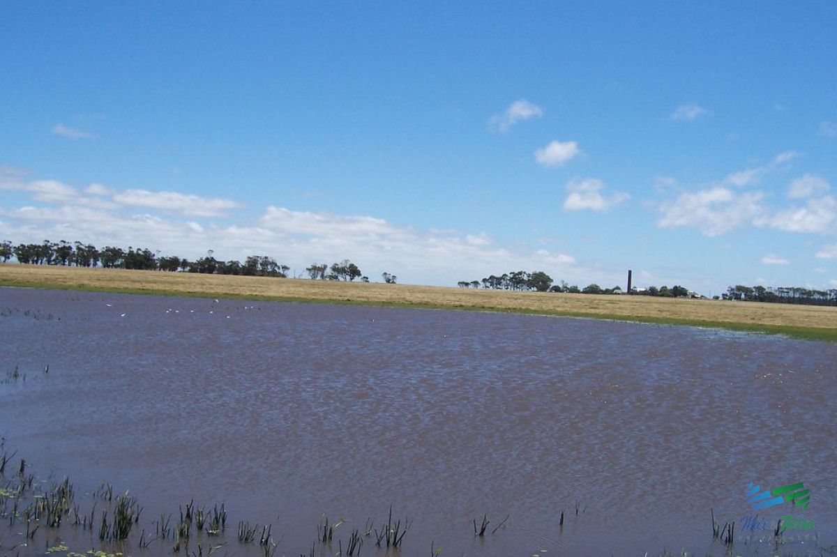 Campo Ref.3906 - 145 Has al Sur de Ruta 10 con vista al Mar, Precio Reducido !