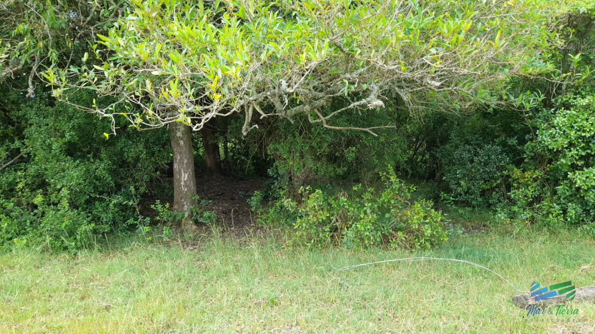 Campo Ref.3681 - 128 Has Agrícola-Ganaderas sobre Ruta 9 (Tambo)