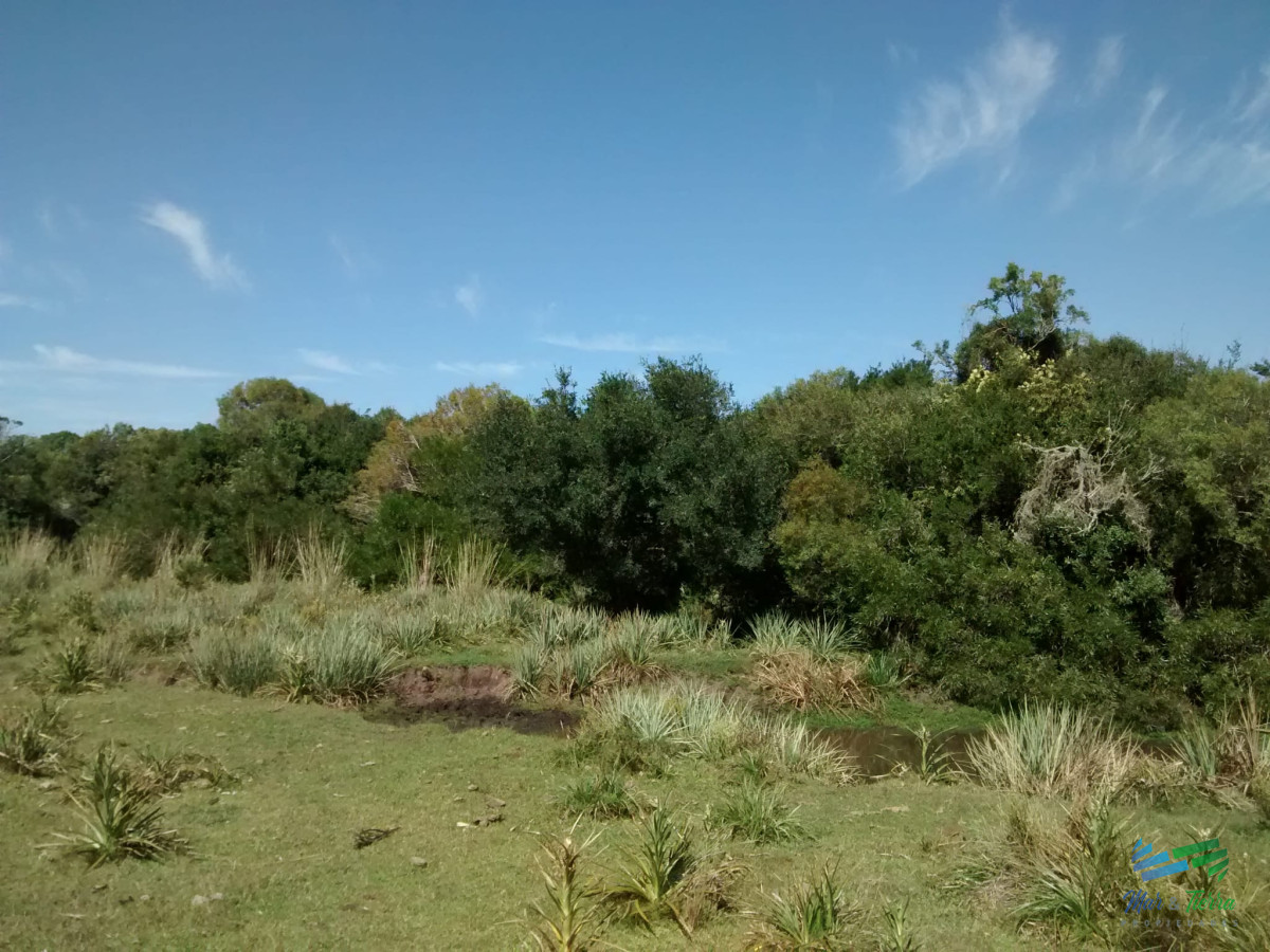 Campo Ref.4113 - 51 Has Campo Secreto