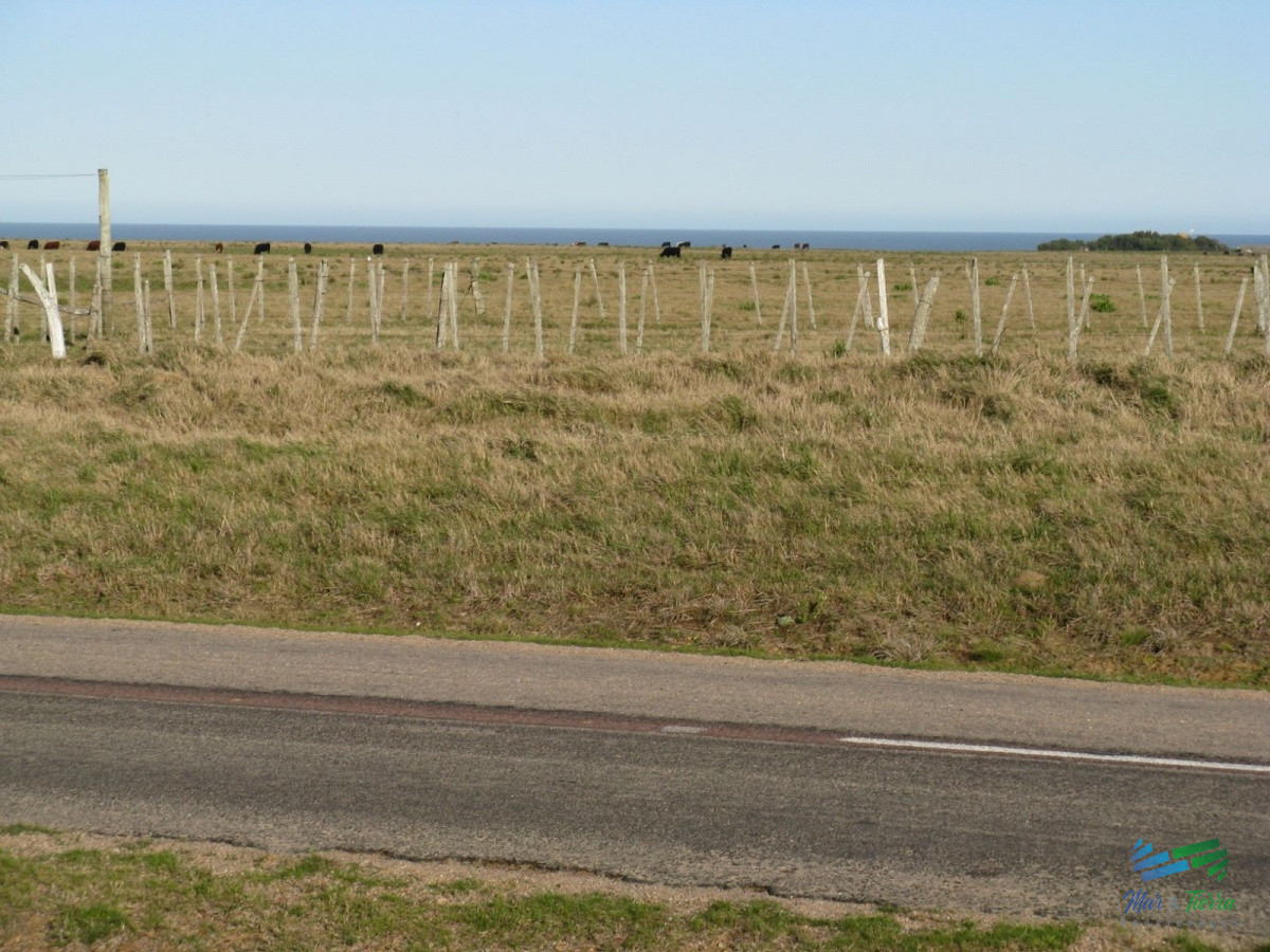 Campo Ref.3906 - 145 Has al Sur de Ruta 10 con vista al Mar, Precio Reducido !