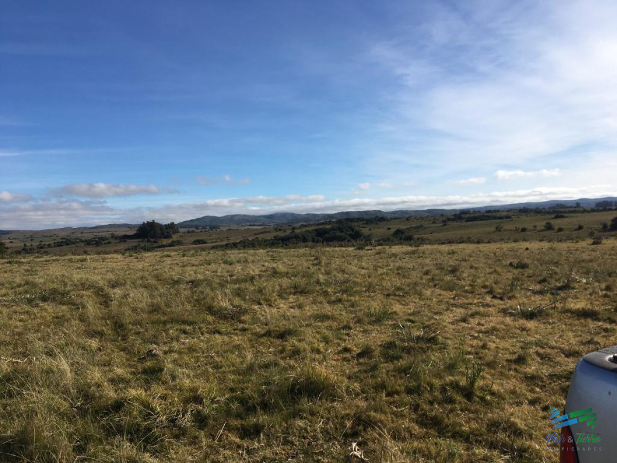 Campo Ref.4059 - 80 Has al Norte de Garzon, buen acceso, vistas, monte y luz en la portera