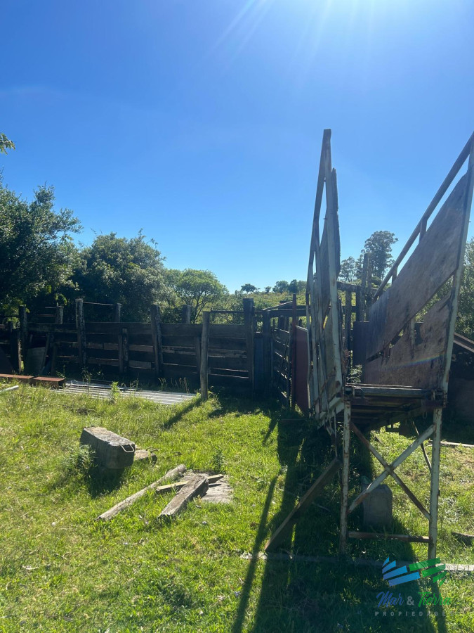 577 Has Campo Ganadero   Forestal - GoPunta - Portal Inmobiliario de Punta del Este - Maldonado