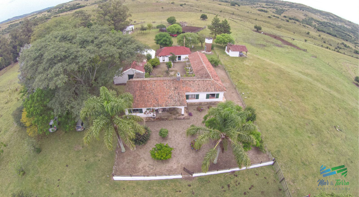 Campo Ref.4411 - Estancia de 882 Has, campo mixto Ganadero - Forestal muy bien ubicado