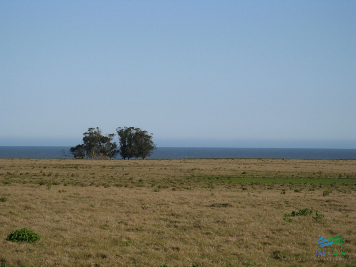 Campo Ref.5317 - Casi 1.500 mts de costa al Mar, único e irrepetible oportunidad de inversión en la costa uruguaya!