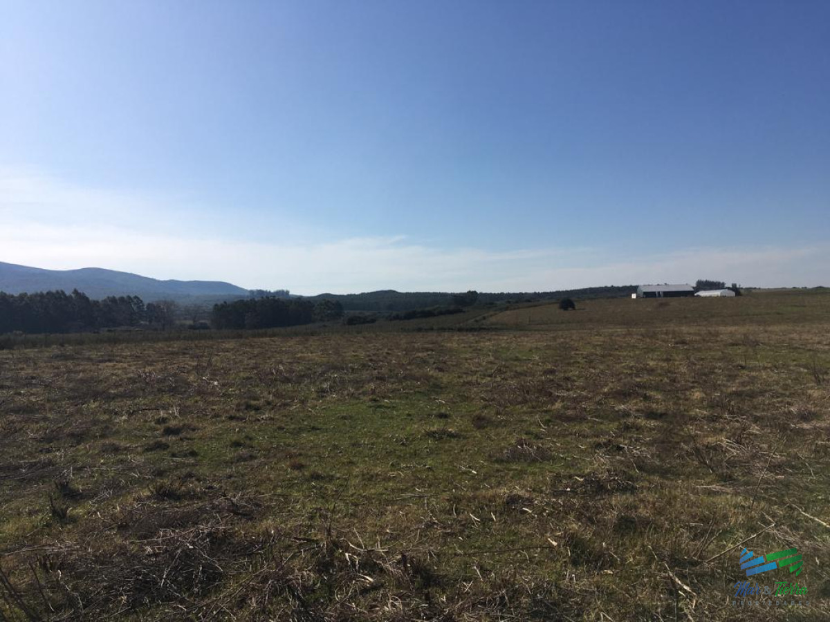 Campo Ref.4063 - 58 Has en Sierras de Carape, Buenas Vistas, Monte Nativo, Arroyo