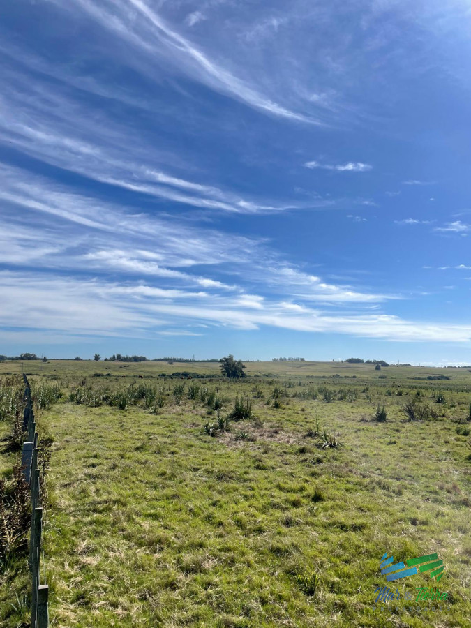 50 Has a 15 minutos de José Ignacio, Ideal para fraccionar ! - GoPunta - Portal Inmobiliario de Punta del Este - Maldonado