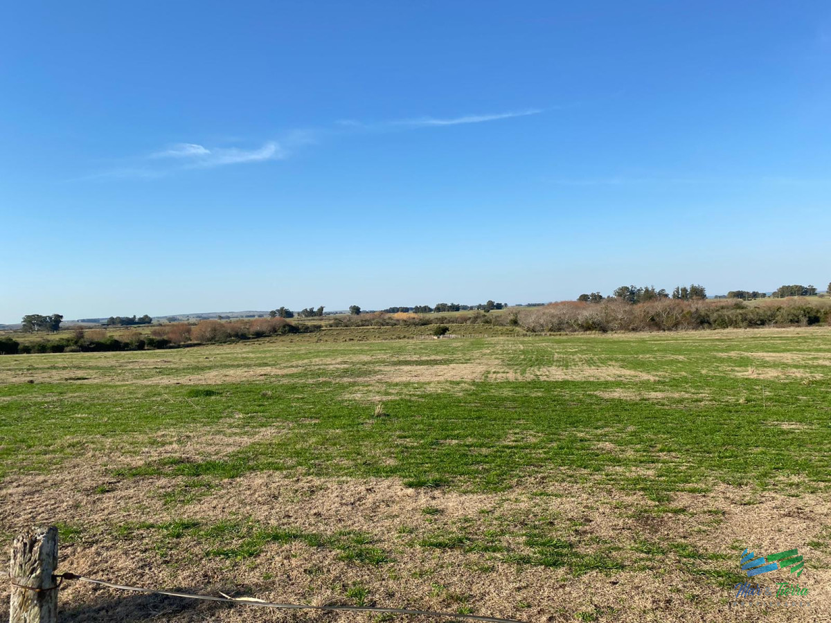 Campo Ref.4335 - Buen campo mixto a 1 hora de Punta, buen acceso e instalaciones.