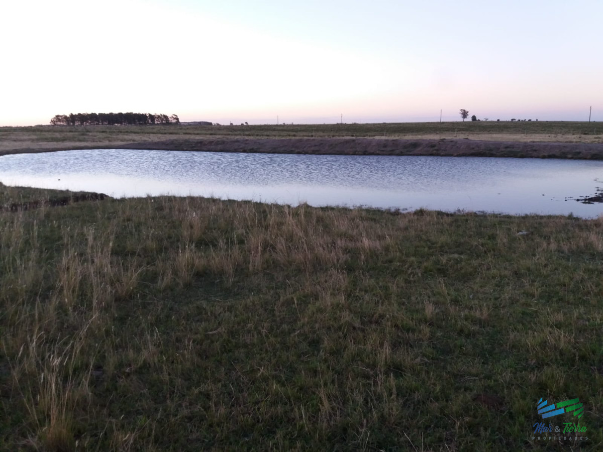 Campo Ref.3743 - 583 Has Ganaderas Especiales...!