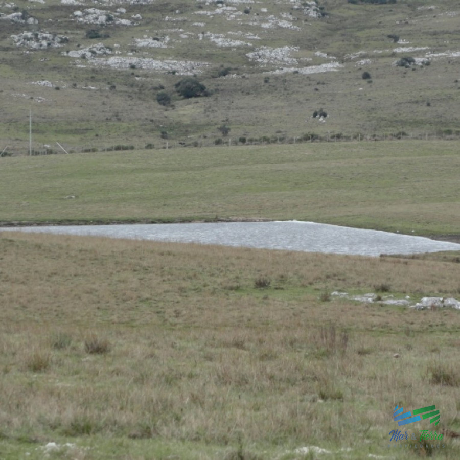 Campo Ref.3862 - 198 Has sobre Ruta 12, Arroyo, Monte Nativo a 15 kms de P. Edén