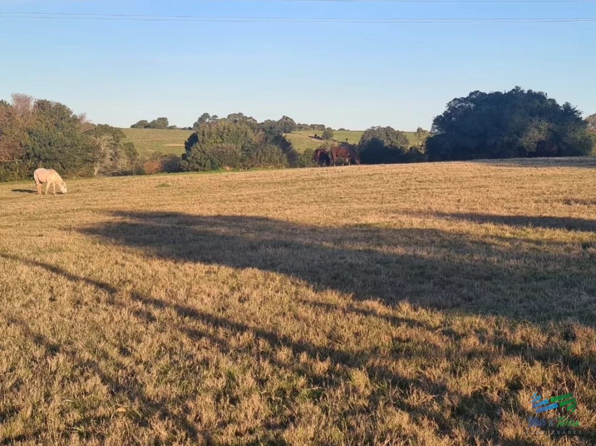 Campo Ref.5119 - Campo Agrícola - Ganadero, 422 Has sobre Ruta 15