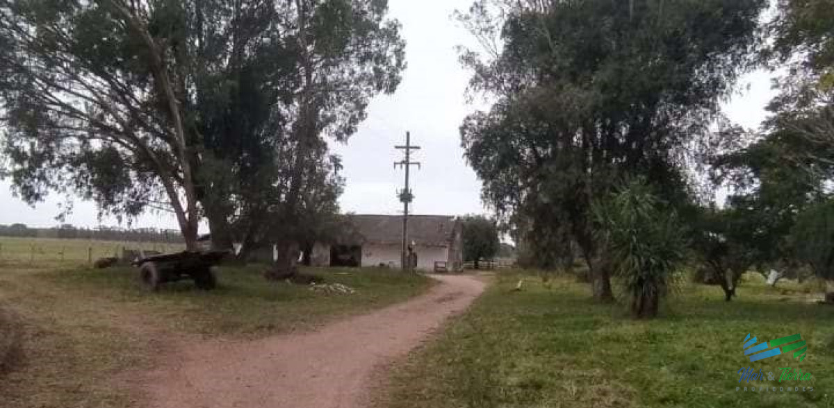 Campo Ref.4231 - 445 Has Campo Ganadero