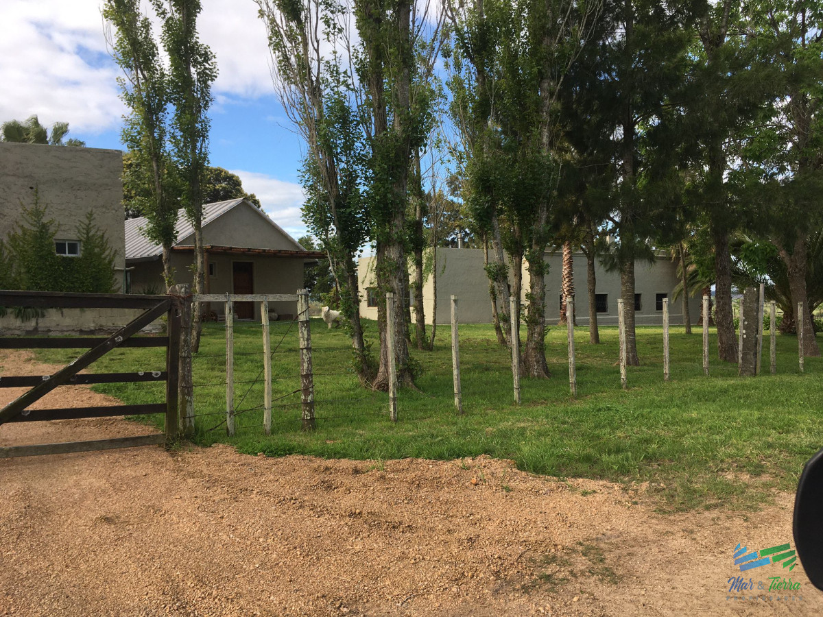 Campo Ref.4907 - 312 Has Campaso Mixto a 1 hora de Mdeo y Punta !