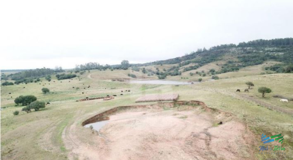 Campo Ref.4122 - 108 Has en venta a portera cerrada, Única por ubicación y mejoras, establecimiento completo !