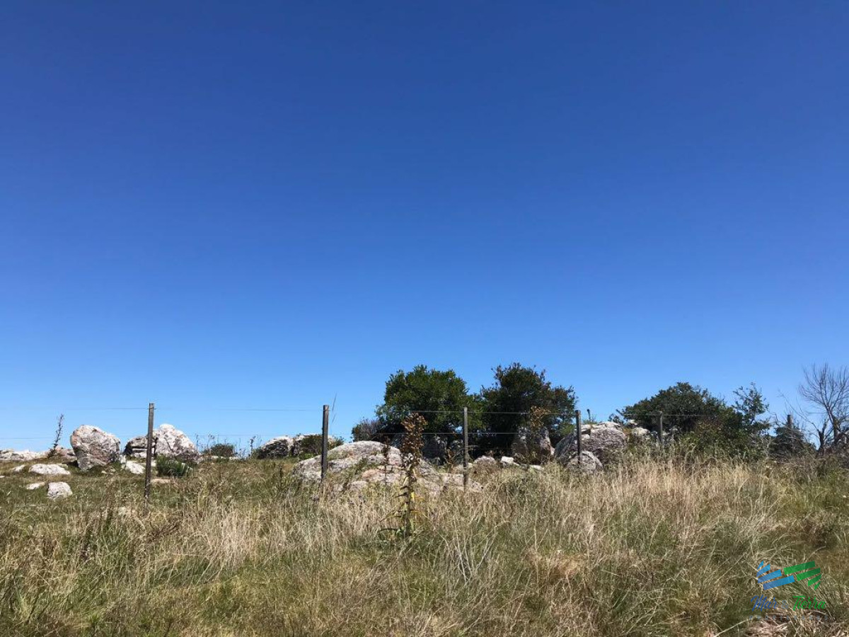 Campo Ref.3869 - Vendo campo 30 ha a 4 km de ruta 12. Maldonado