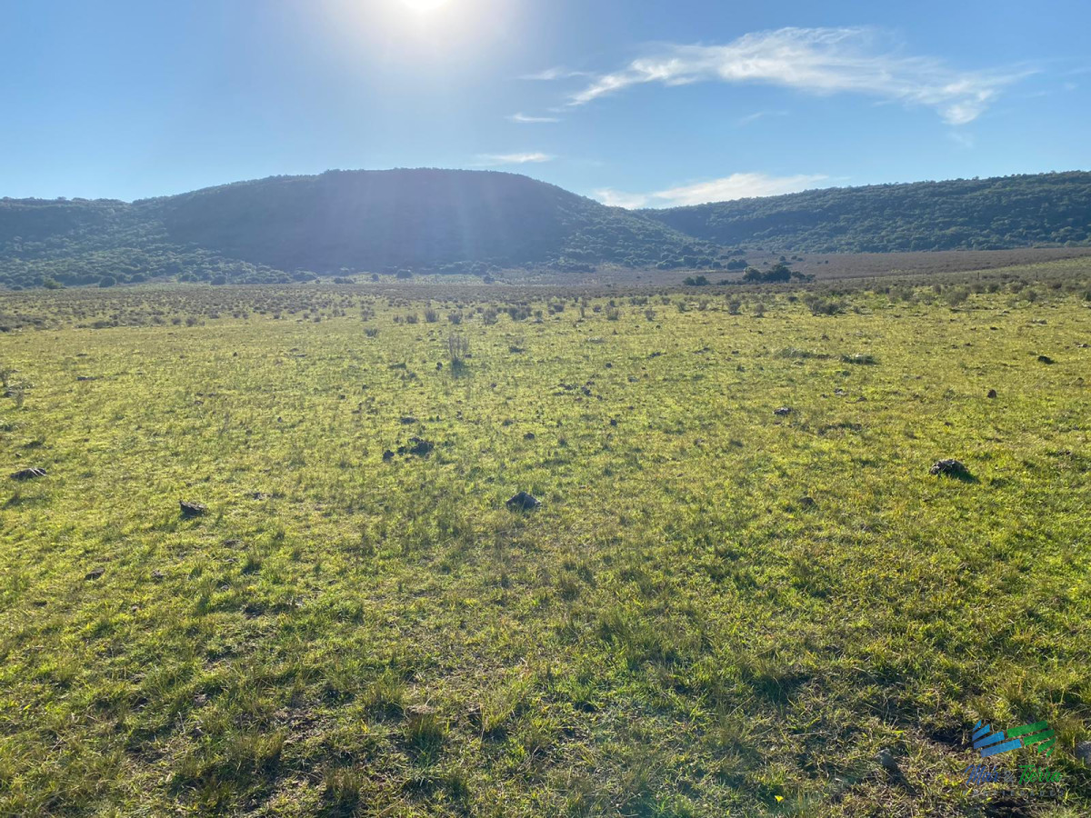 Buen campo mixto a 1 hora de Punta, buen acceso e instalaciones. - GoPunta - Portal Inmobiliario de Punta del Este - Maldonado