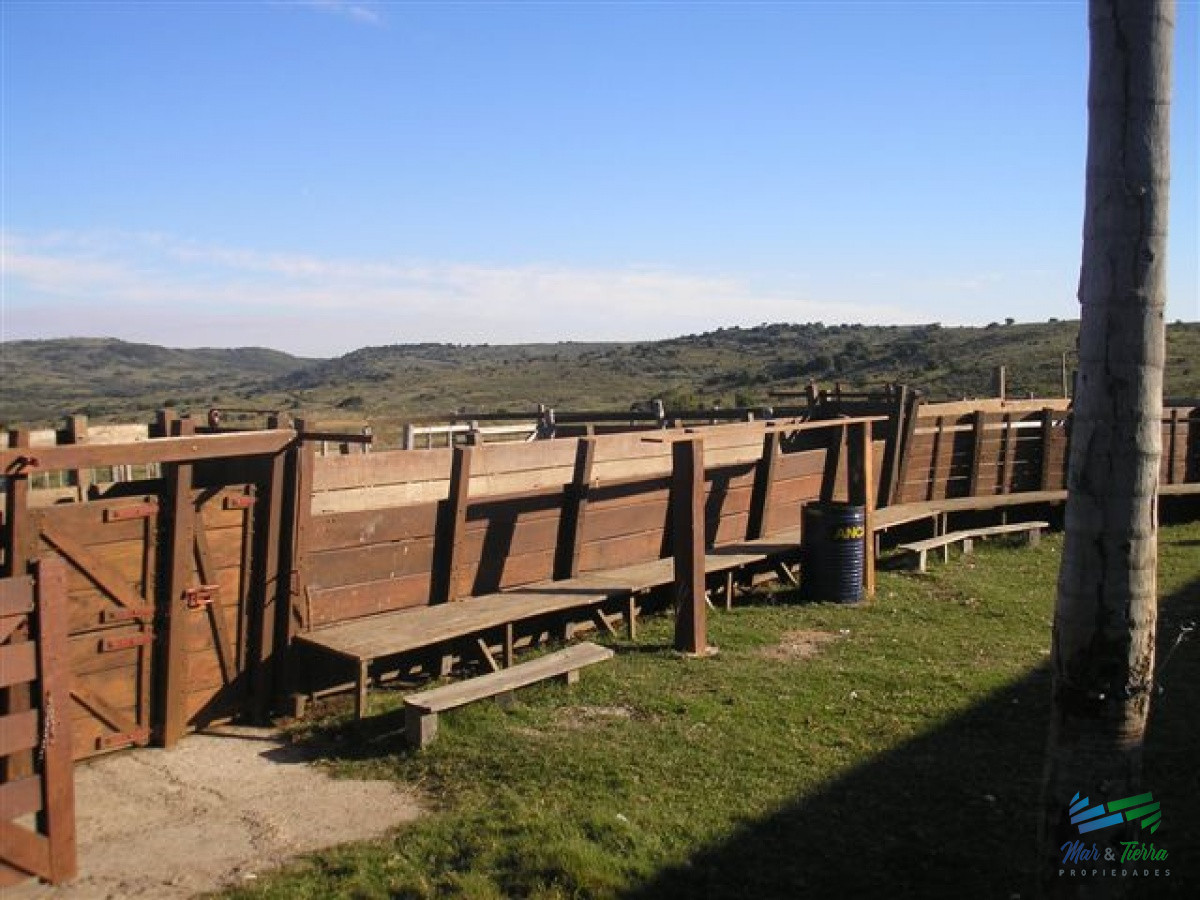 Campo Ref.3687 - 1.600 Has Campo Ganadero criador a buen precio