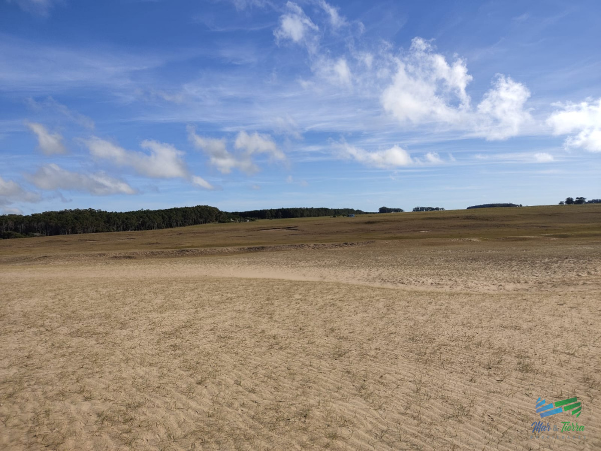 Campo Ref.5317 - Casi 1.500 mts de costa al Mar, único e irrepetible oportunidad de inversión en la costa uruguaya!